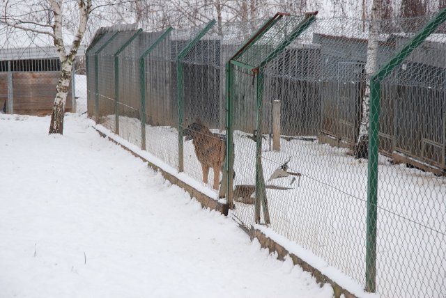 Świąteczna wizyta u naszych Przyjaciół w Orzechowcach